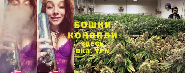 мяу мяу мука Каменка