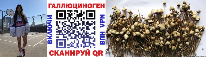 наркотики  Ачинск  Псилоцибиновые грибы прущие грибы 